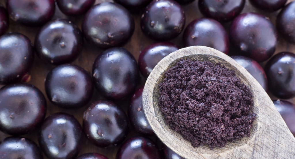 Acai Berry Origins (Photo of Berry)