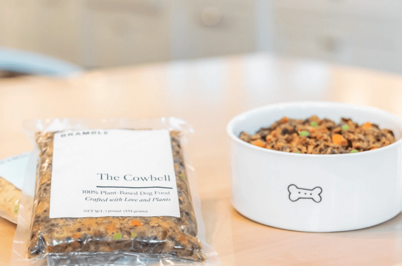 Best Vegan Dog Food Brands on the Market This Year