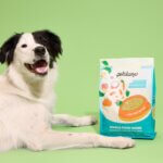 Best Organic Dog Food: Petaluma (And Their Latest Product Drop) Petaluma Whole Foods Mixer Dog Food Topper