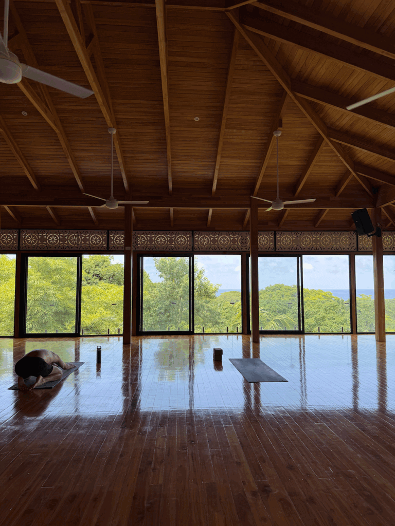 Best Yoga in Nosara