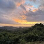 Nosara Travel Guide (2025) Nosara Costa Rica Top Travel Destination 2025