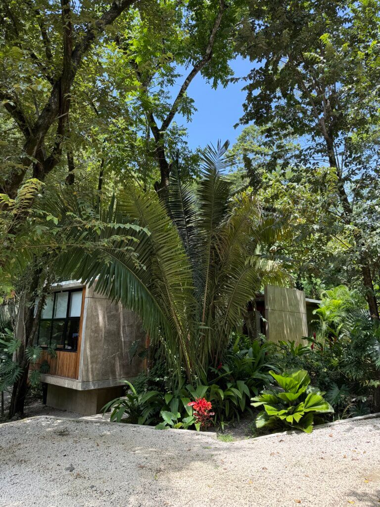 Nosara Property Rental