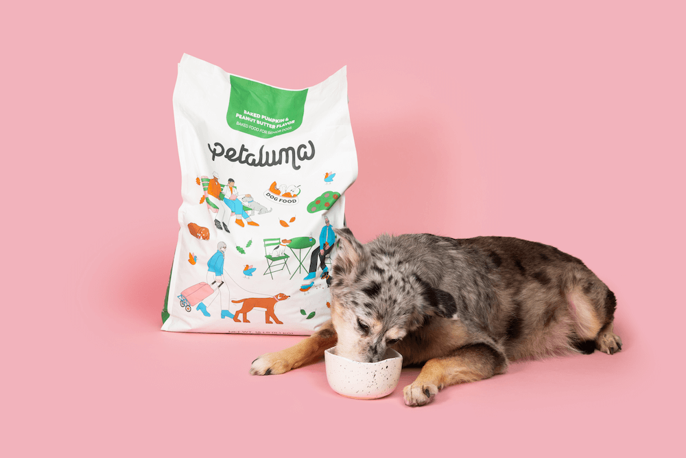 Best Organic Natural Dog Food 