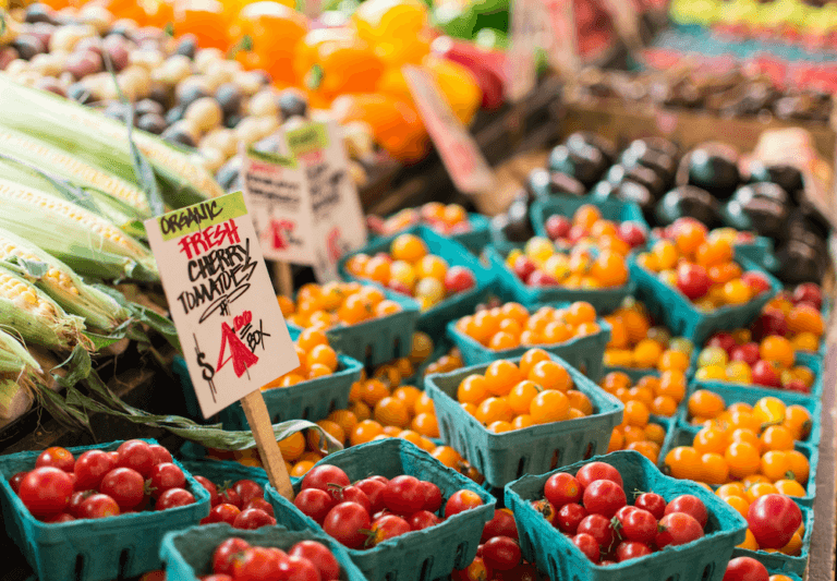 Online nutritionist