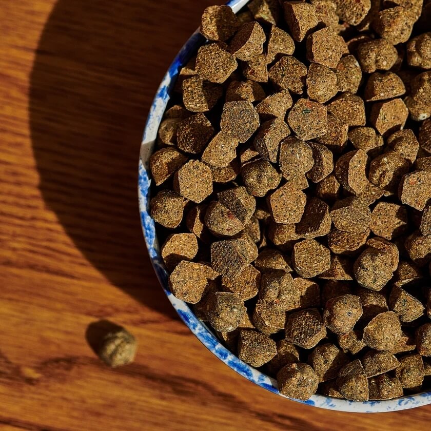 Gift Ideas for Dog Owners