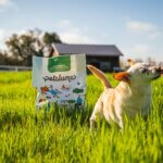 The Best Vet-Approved Dog Food Healthiest Dog Food Brand
